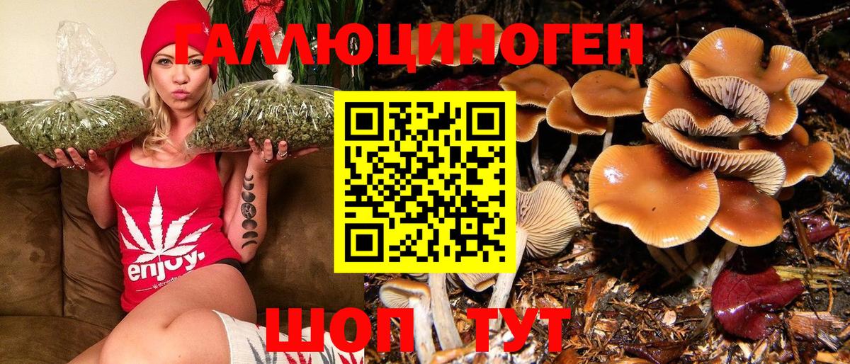 Псилоцибиновые грибы мицелий Гай
